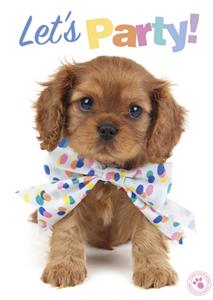 Studio Pets  Verjaardagskaart - let's party