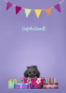 Catchy Images  Verjaardagskaart - hamster