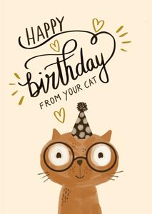 Tsjip  Verjaardagskaart - From your cat