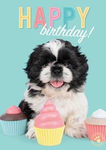 Studio Pets  Verjaardag - Puppy
