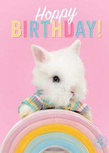 Studio Pets  Verjaardag - Bunny