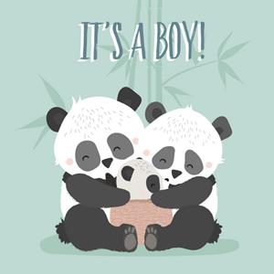 Tante Kaartje  Geboorte kaart - Panda