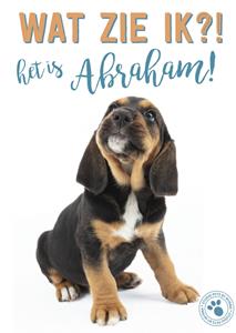 Studio Pets  Verjaardagskaart - abraham