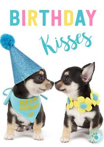 Studio Pets  Verjaardagskaart - kisses