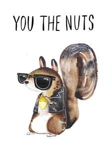 Jolly Awesome  Verjaardagskaart - you the nuts