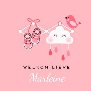 Marieke Witke  Geboortekaart - met naam