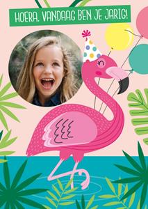 Paperclip  Verjaardagskaart - Flamingo
