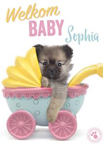 Studio Pets  Geboortekaart - met naam
