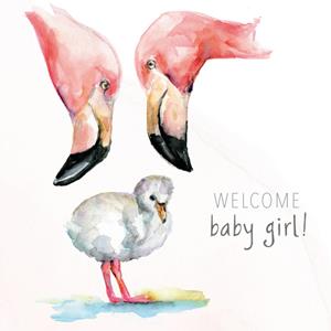 Michelle Dujardin  Geboortekaart - Flamingo