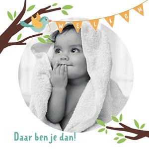 Kleine Twinkeltjes  Geboortekaart - fotokaart