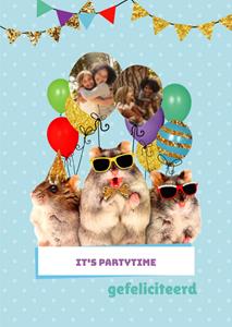 TMS Verjaardagskaart -  - Hamster - Foto