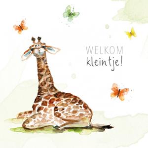 Michelle Dujardin  Geboortekaart - Giraffe