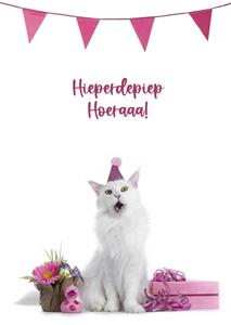 Catchy Images  Verjaardagskaart - kat - slingers