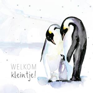 Michelle Dujardin  Geboortekaart - pinguin