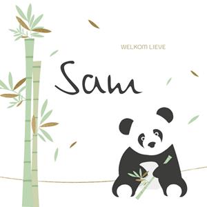 Greetz  Geboortekaart - panda - met naam