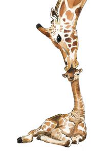 Marie Bodié  Geboortekaartje - Giraffen