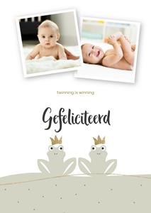 Greetz  Geboortekaart - Twinning is winning