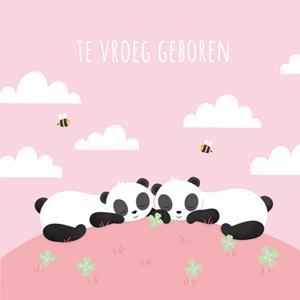 Kleine Twinkeltjes  Geboortekaart - panda