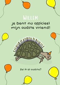 Liefs Jansje  Verjaardagskaart - met naam - schildpad