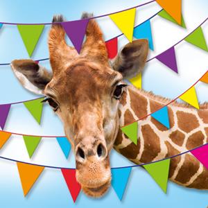 TMS  Verjaardagskaart - Giraf