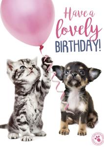 Studio Pets Verjaardagskaart -  - Dier