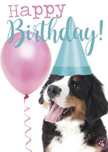 Studio Pets Verjaardagskaart -  - Dieren