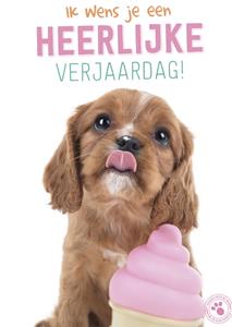 Studio Pets Verjaardagskaart -  - Dieren