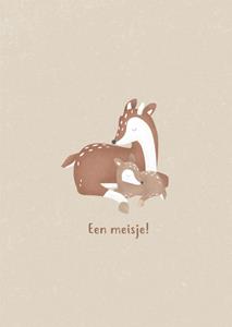 Little Dutch  Geboortekaart - Dieren