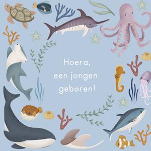 Little Dutch  Geboortekaart - Zeewezens