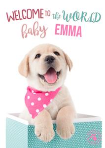 Studio Pets  Geboortekaart - Schattig - Meisje