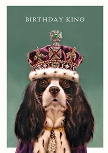 Pigment  Verjaardagskaart - hond - kroon