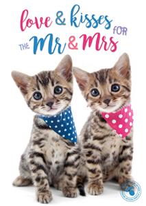 Studio Pets  Huwelijkskaart - Katjes