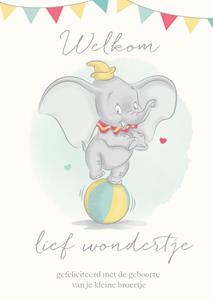 Disney  Geboortekaart - Dumbo - Welkom lief wondertje