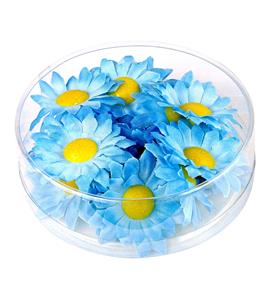 Lichtblauwe Madelief bloemen 20 stuks