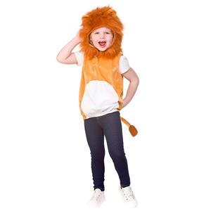 Leuk leeuwen kostuum Evy voor kinderen