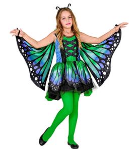 Leuk vlinder kostuum blauw groen voor kinderen