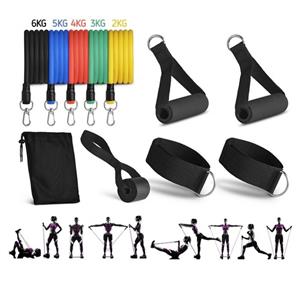 Geeek Weerstandsbanden set - Workout set met handvatten - 11-Delige Workout Fitness Set