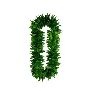 Mooie Hawaii slinger met groene blaadjes