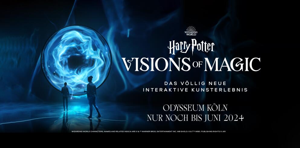 Travelcircus Harry Potter: Visions of Magic incl. hotelovernachting