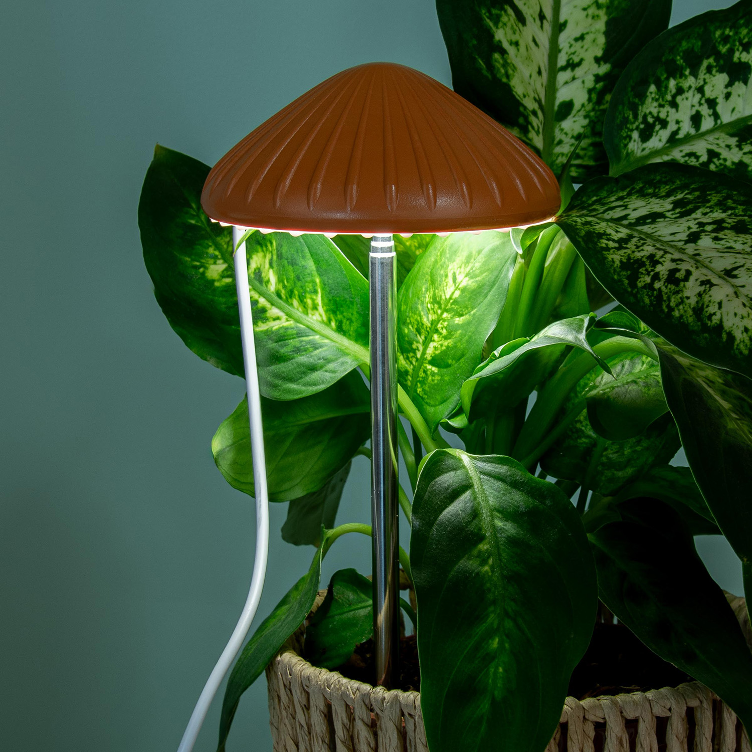 Kikkerland Paddenstoel Plantenlamp