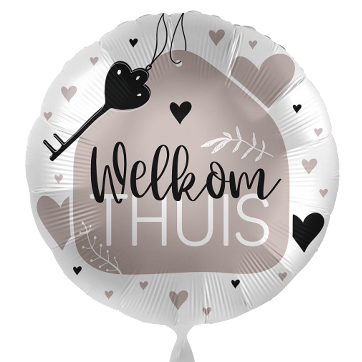 DeBallonnensite welkom thuis