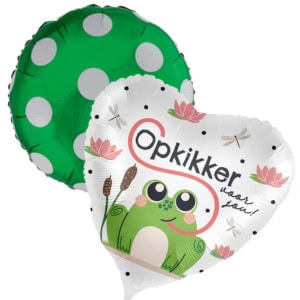 DeBallonnensite Ballon duo opkikker