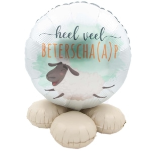 DeBallonnensite Ballon cadeau Heel veel beterschaap