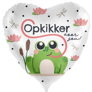 DeBallonnensite Een Opkikker Voor Jou