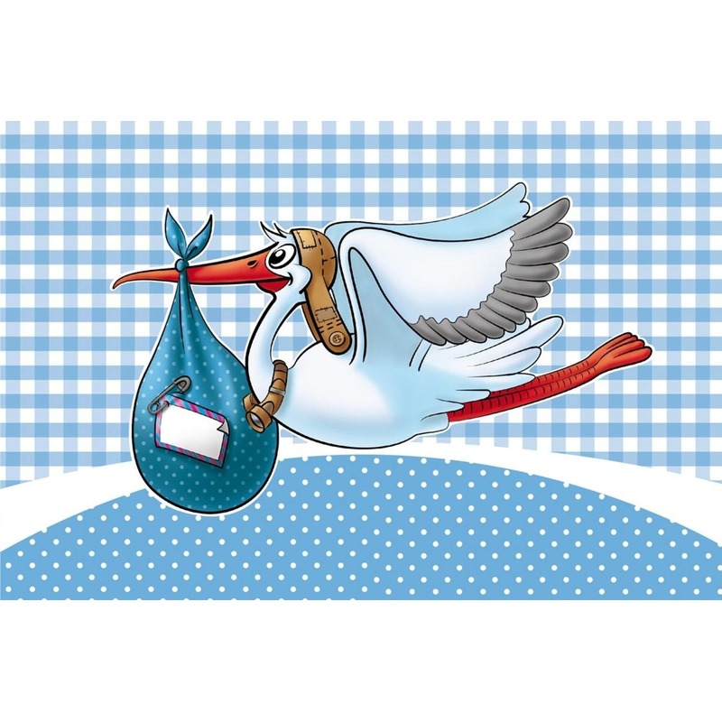 Folat Raamvlag geboorte jongen - blauw - 60 x 90 cm - polyester -