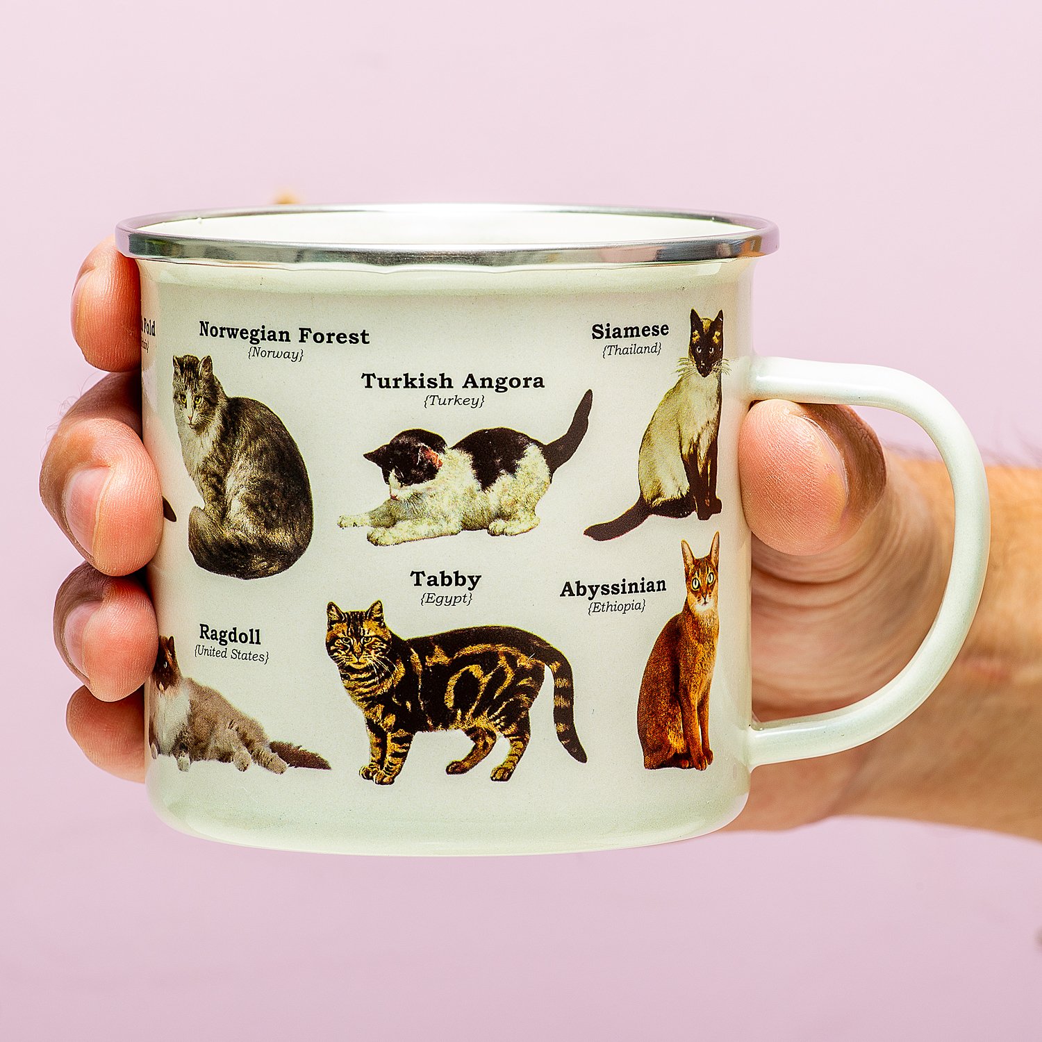 Gift Republic Emaille Dierenmok - Katten