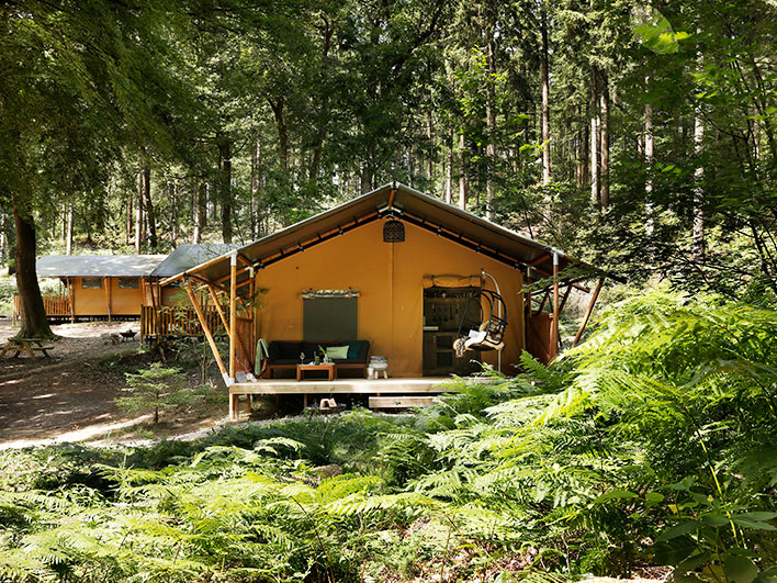 Nature's Gift Overnachting Veluwe in Lodgetent