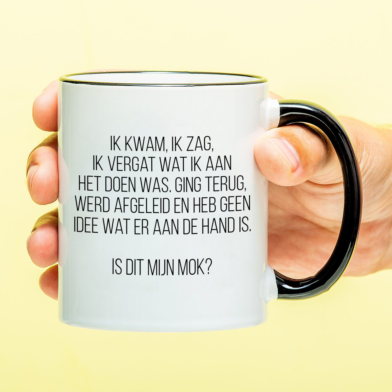 Ditverzinjeniet Mok Ik kwam, ik zag, ik vergat
