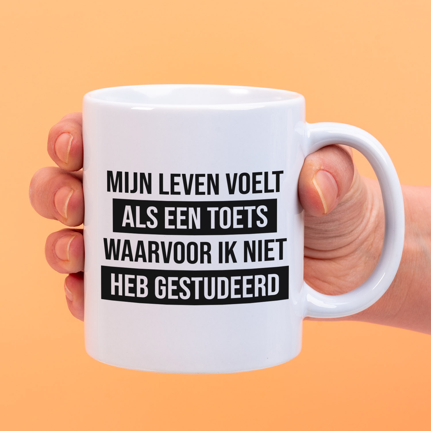 Ditverzinjeniet Mok Mijn leven voelt als een toets