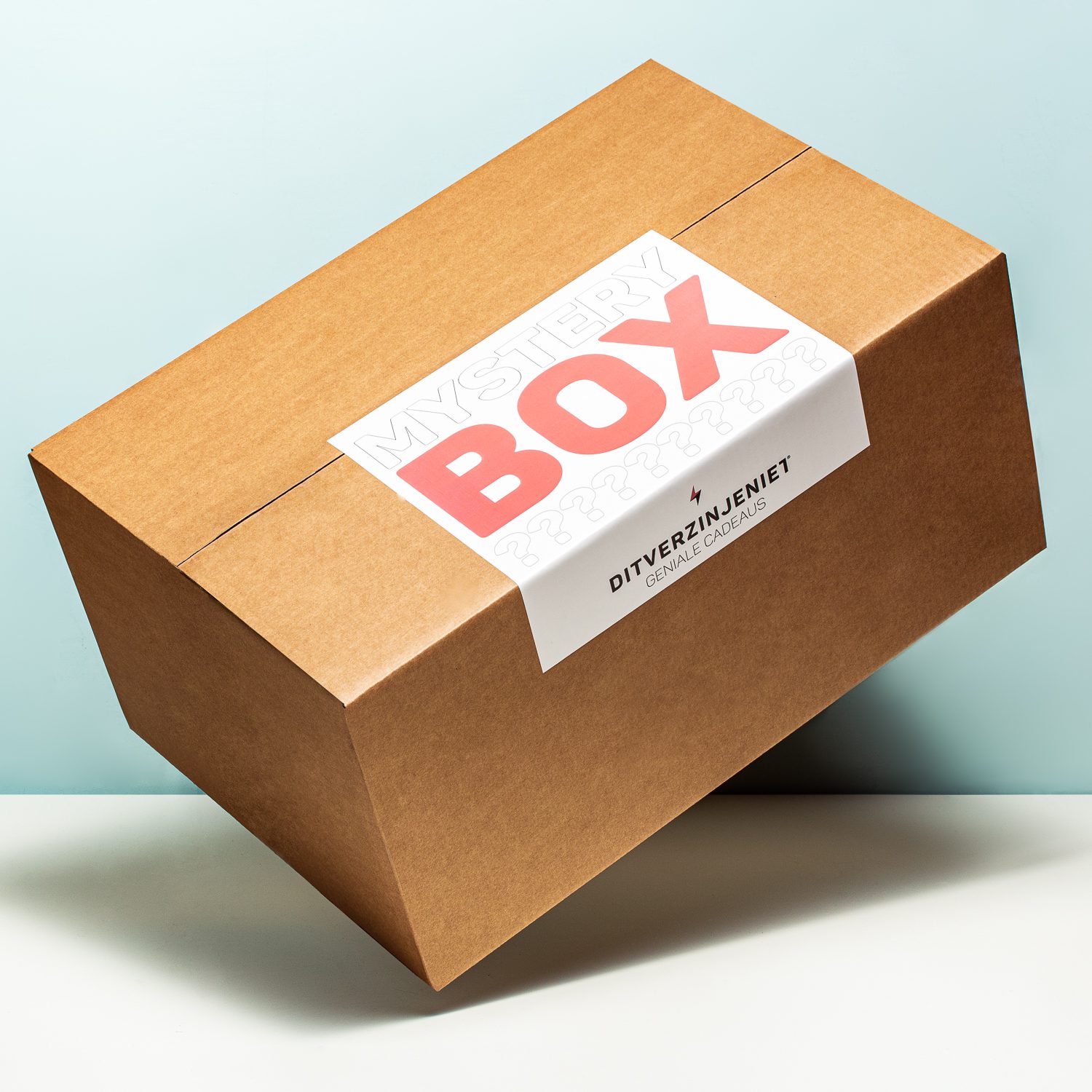 Ditverzinjeniet Mystery box - Extra groot